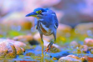 总结一下,文章的结构大致如下,世界杯2026是哪个国家参加的